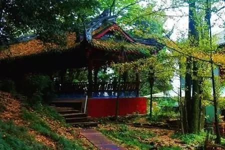 种茶始祖吴理真为何又被称为“甘露大师”?