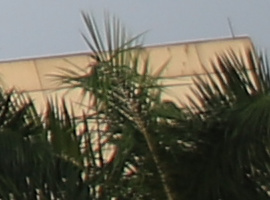 r-b-24mm-2.8 r-b-24mm-2.8