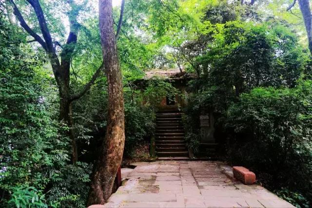 种茶始祖吴理真为何又被称为“甘露大师”?