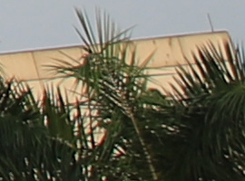 r-b-24mm-4 r-b-24mm-4