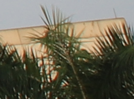 r-b-24mm-22 r-b-24mm-22