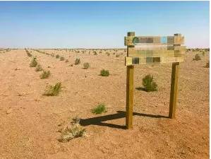 限时!注册线上植树小游戏,小黄车免费骑!