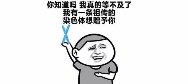 866D2E65DC690D365FFC6DFDC4AA7EE7D29156EF_size15_w640_h288.jpeg