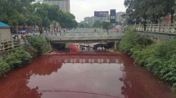 江西九江现红色河水 原因查实:系上游杀猪场排污