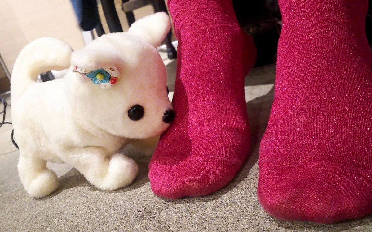 狗狗这么可爱,为什么要让它闻臭脚…