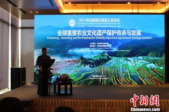 论坛现场。 冷桂玉 摄 论坛现场。 冷桂玉 摄