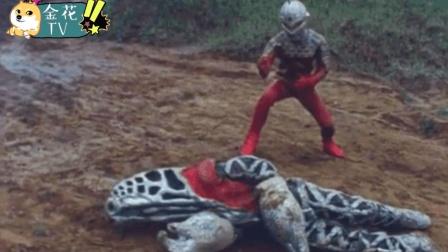 一口菜饼子–搜凤