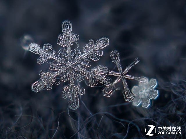 微距摄影典范 俄罗斯摄影师的雪花作品 