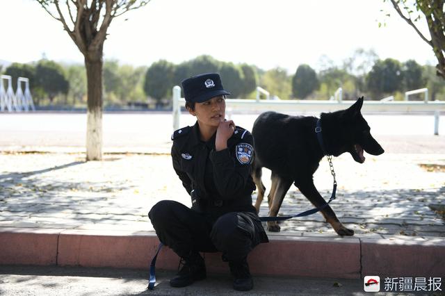 马海霞训练的警犬是东德黑背牧羊犬,这只警犬还有个名字叫“黑熊”。 马海霞训练的警犬是东德黑背牧羊犬,这只警犬还有个名字叫“黑熊”。