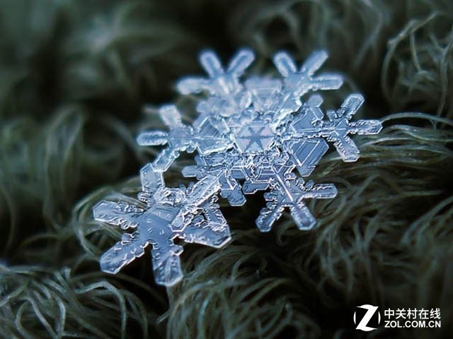 微距摄影典范 俄罗斯摄影师的雪花作品 