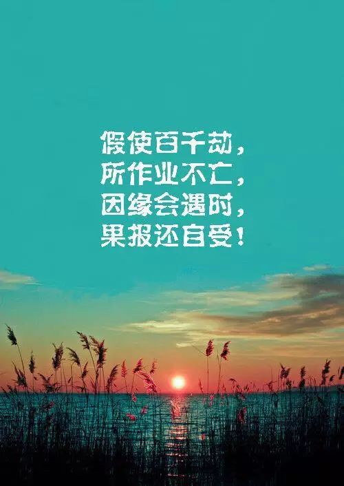 每日一禅