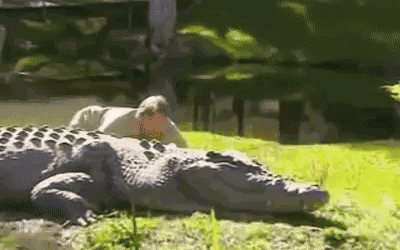 400_250 gif 动态图 动图