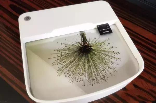 两步搭建个人专属私有云!不用电脑也能看高清