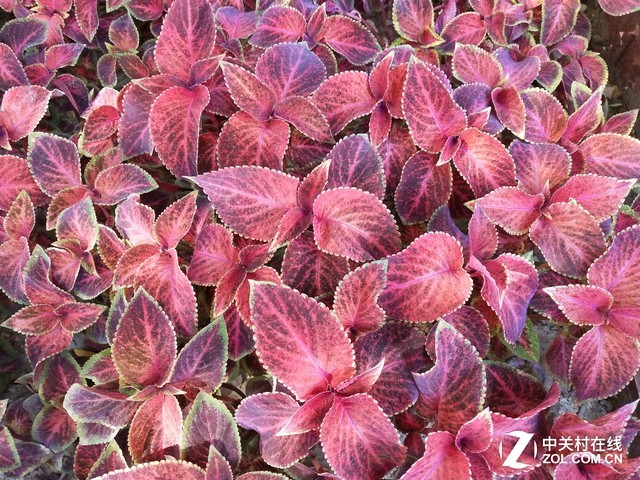 vivo X20评测：屏幕2.0时代颠覆的开端（不发） 