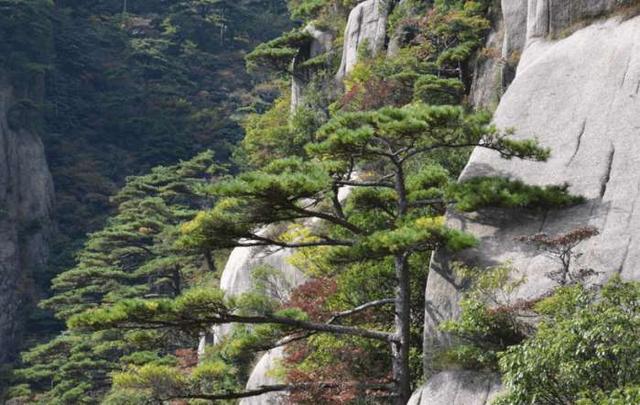 天下第一奇山黄山这么玩,总有一种姿势适合你