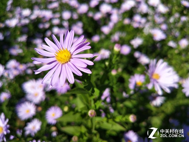 vivo X20评测：屏幕2.0时代颠覆的开端（不发） 