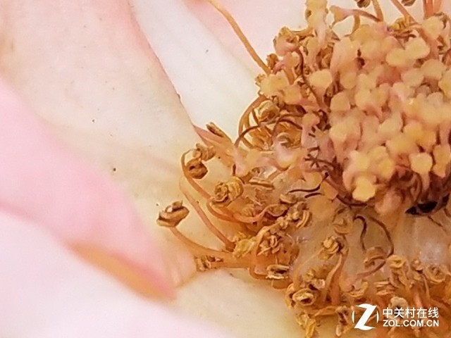 vivo X20评测：屏幕2.0时代颠覆的开端（不发） 