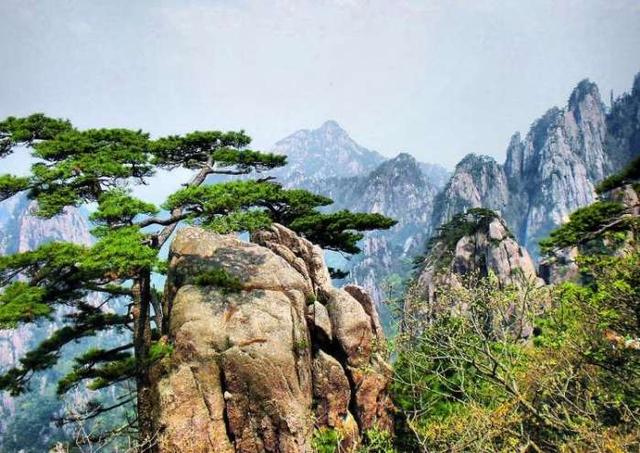 天下第一奇山黄山这么玩,总有一种姿势适合你