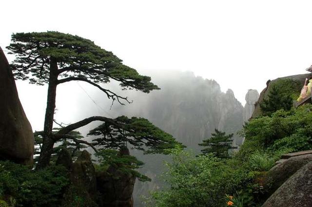 天下第一奇山黄山这么玩,总有一种姿势适合你
