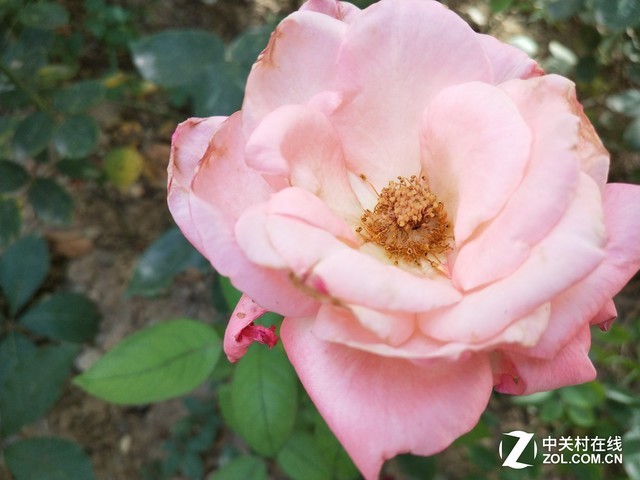 vivo X20评测：屏幕2.0时代颠覆的开端（不发） 