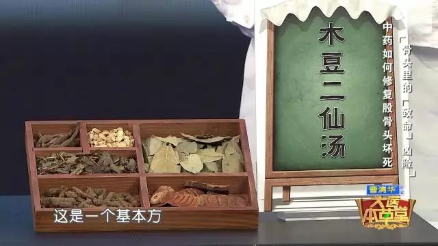 专家提示:木豆二仙汤是调治股骨头坏死的基本方,木豆叶含有微毒性,切