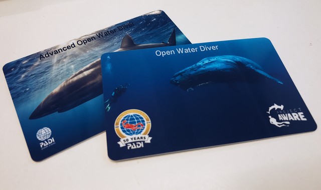 女神亲传技巧!怎么玩转深海水下摄影