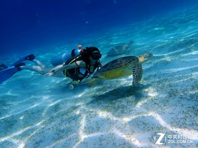 女神亲传技巧!怎么玩转深海水下摄影