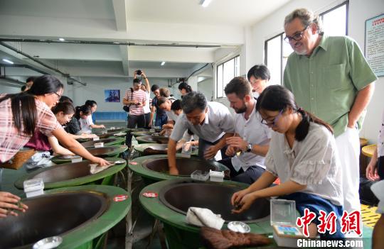 婺源成为中国著名的绿茶加工集散地和有机茶出口基地。　俞志兴　摄