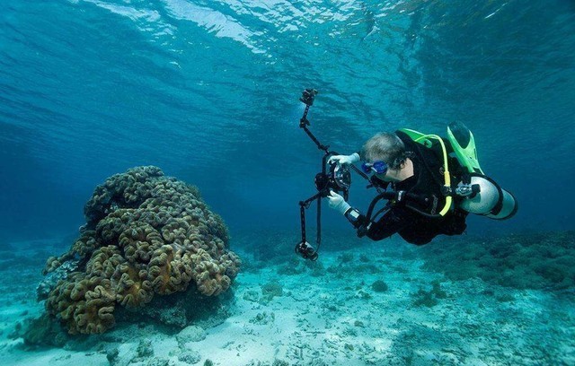 女神亲传技巧!怎么玩转深海水下摄影