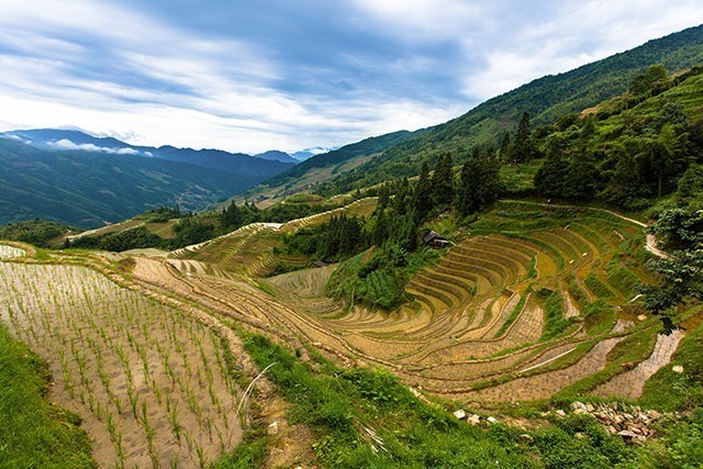 同为高像素 单反与微单谁更值得买?