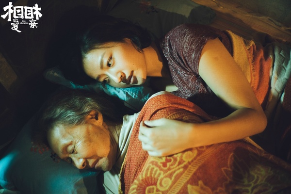 《相爱相亲》剧照 张艾嘉田壮壮温暖亮相