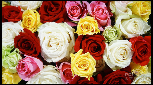 画质性能综合测试