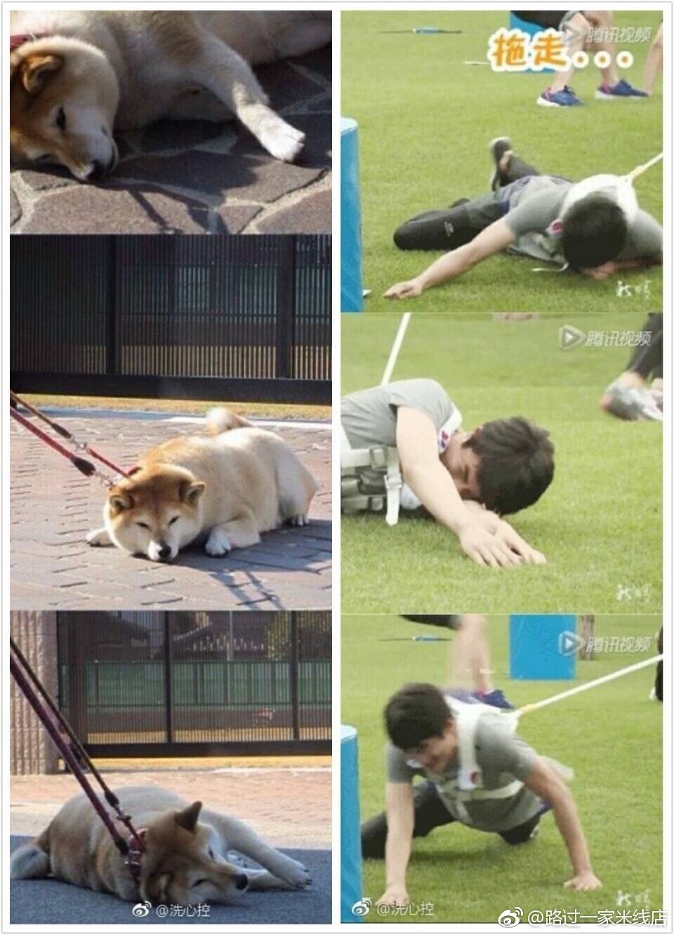 006e6gzmly1fjw4se9axej30qo111q8r