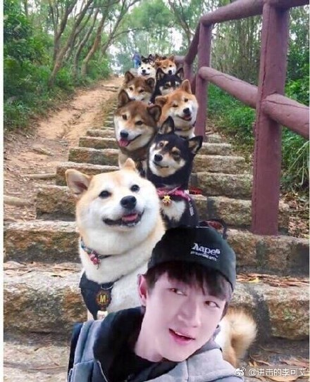 bbdb634agy1fjw534c0kfj20di0gowgw