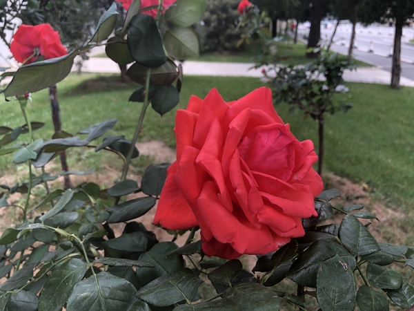 环境较暗时也会开启HDR