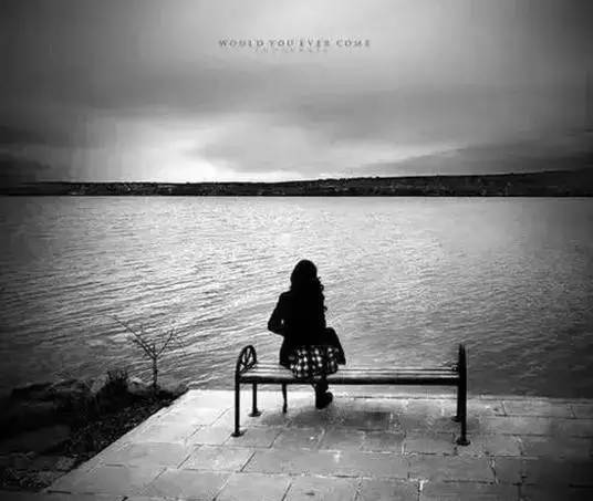 这辈子,能爱就爱吧!(超赞)