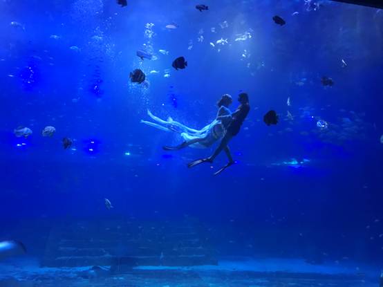 微信图片_20170927140303