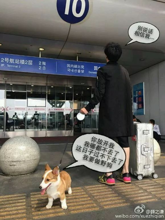 薛之谦和他“楚门的世界”