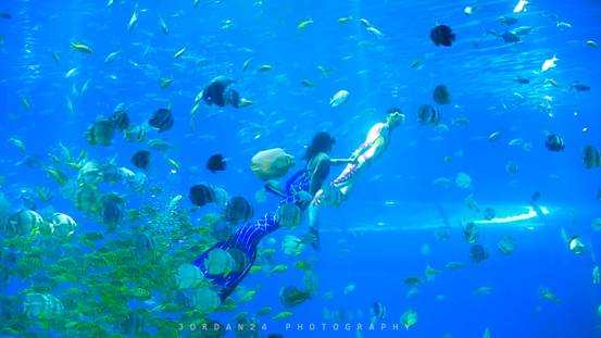 B65A4881.00_00_07_19.静止003