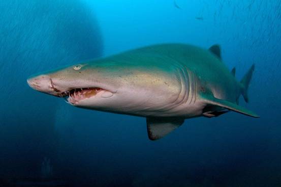 微信图片_20170927140938