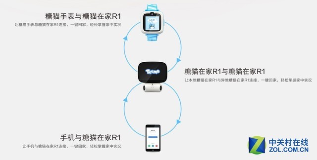 糖猫在家R1体验评测