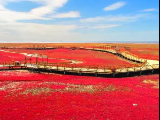 沿海廊道走一走最美季节看最美红海滩凤凰资讯