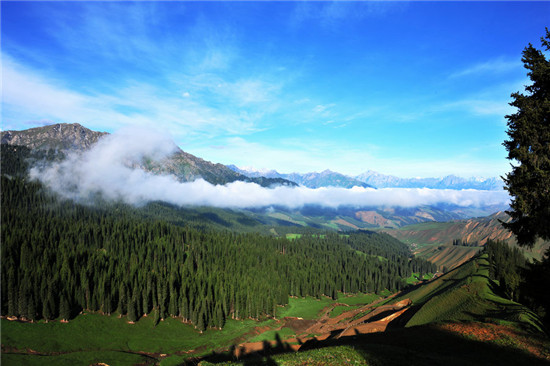 滚动新闻 南山风景区地址:南山风景区位于乌鲁木齐南部,北天山的喀拉