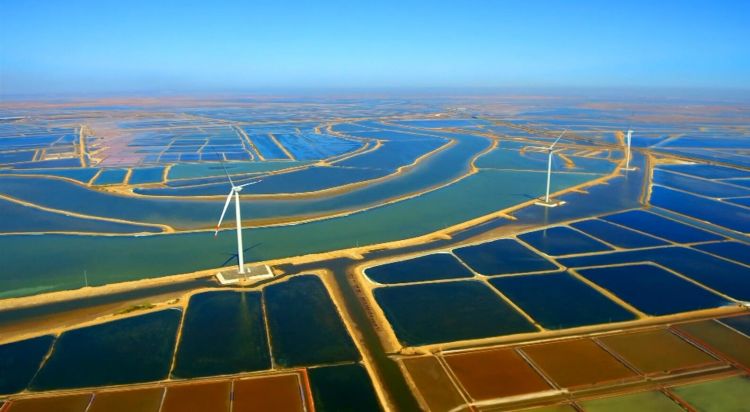 完整版丨90分钟大片告诉你咱山东为啥杠赛来