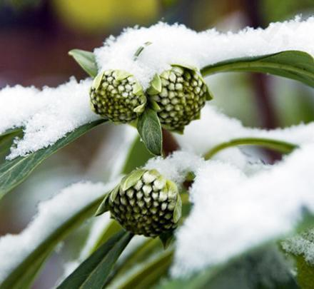 糖尿病遇到死对头,每天喝一碗,胜过中西药,血