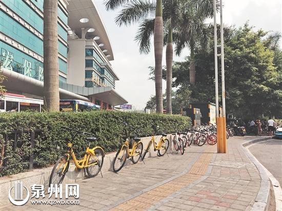 泉州市区：共享单车乱停占道