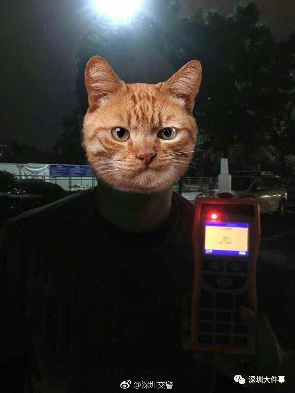 深圳50名醉驾者的中秋夜… 拘留所的月饼是什