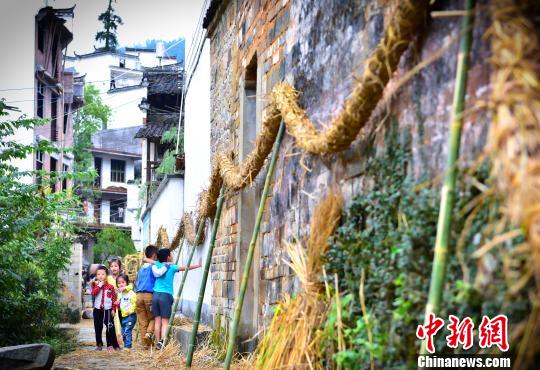 10月4日是中国农历丁酉年中秋节,江西婺源县江湾镇晓鳙村用刚从稻田里收来的稻草和鲜竹片,捆扎一条上百米长的草龙。 曹加祥 摄 10月4日是中国农历丁酉年中秋节,江西婺源县江湾镇晓鳙村用刚从稻田里收来的稻草和鲜竹片,捆扎一条上百米长的草龙。 曹加祥 摄
