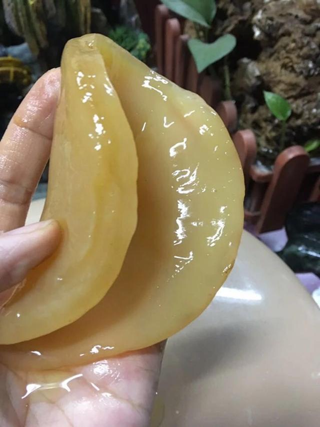 陈年老醋开坛抓出“海洋活宝”醋蛾子,这坛醋售价估计翻十倍不止