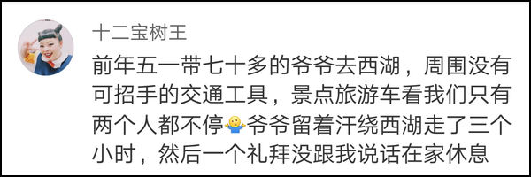 87岁老人在景点挤了俩小时:我打仗时也没遭这罪